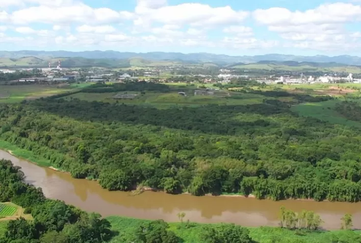 No mês da proteção às florestas, conheça as iniciativas da BASF que fazem a diferença no meio ambiente