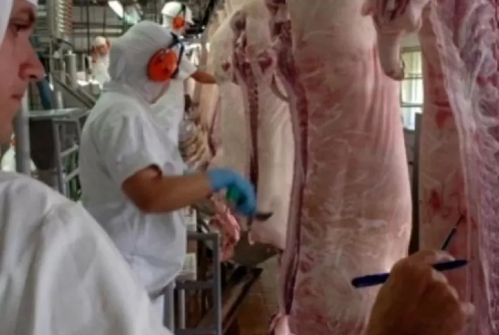 ABPA projeta desempenho da produção, consumo e exportações para o ano