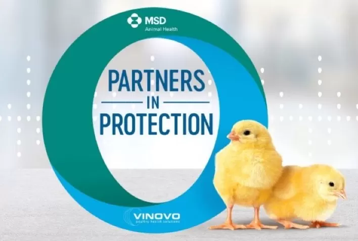 Soluções sustentáveis e estande com itens recicláveis são apresentados pela MSD Saúde Animal no SIAVS
