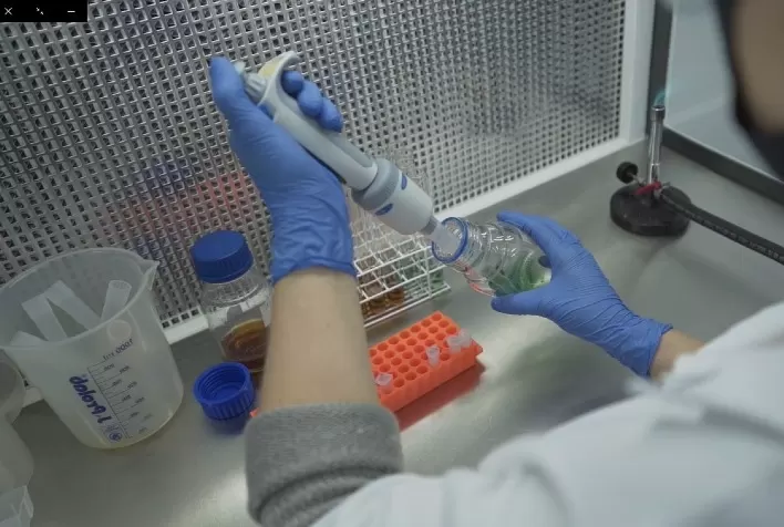 Biológicos são essenciais contra estresses climáticos do inverno