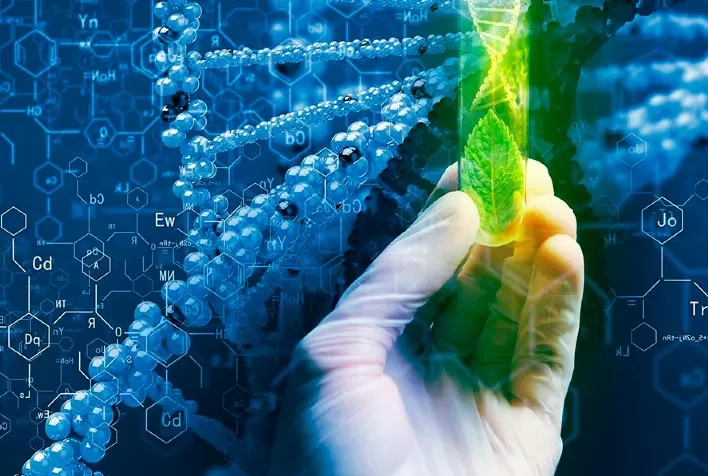 Brasil e Argentina buscam regulação conjunta de produtos biotecnológicos