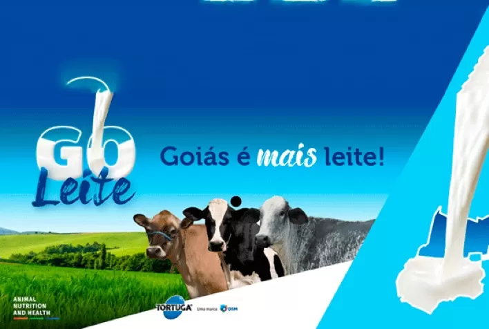 DSM mostrará a força do leite na 20ª edição do Interleite Brasil