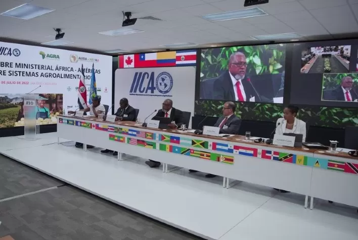 Bem-estar das zonas rurais depende da modernização e do funcionamento institucional, advertem peritos na Cúpula África-Américas