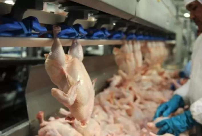 Carne de frango: receita cambial aumenta quase 25%, mas volume embarcado tem retrocesso anual de 3,5%