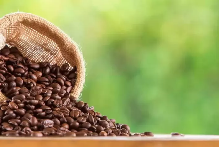 Expocaccer exporta o primeiro café com certificação de agricultura regenerativa do mundo