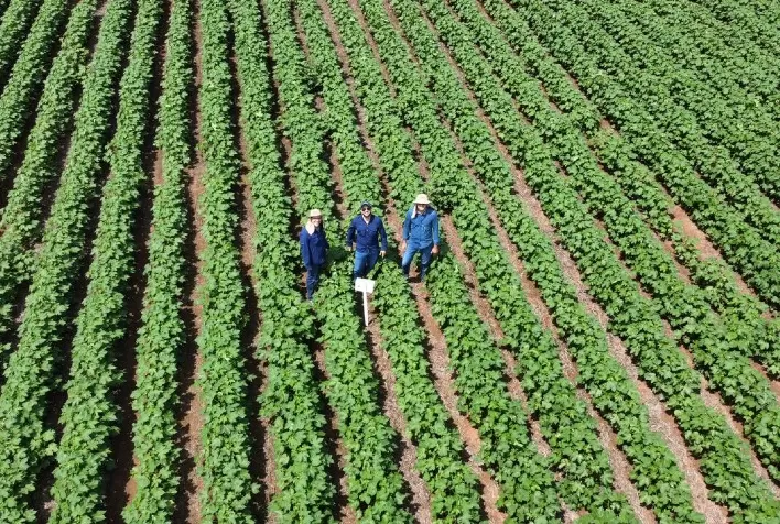 Empresa de agronegócio fundada por brasileiro tem reconhecimento internacional