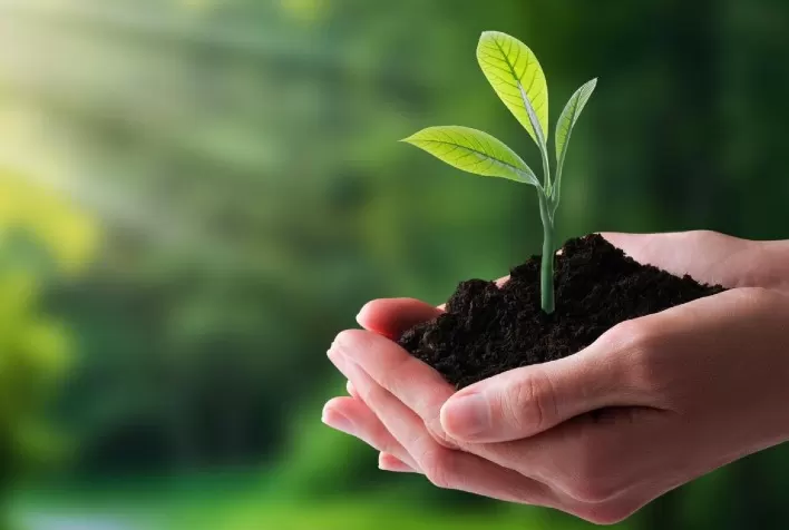 Criação de sistemas regenerativos é condição essencial para uma agricultura mais sustentável