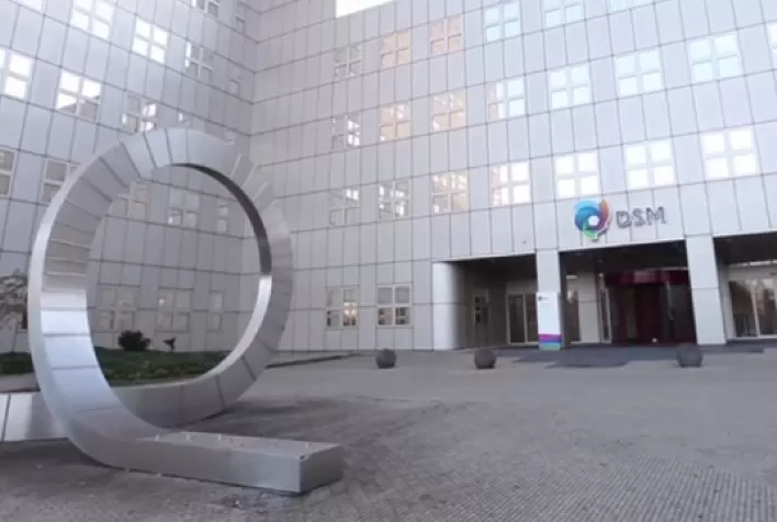 DSM define novas metas climáticas para acelerar a transição para o Net Zero