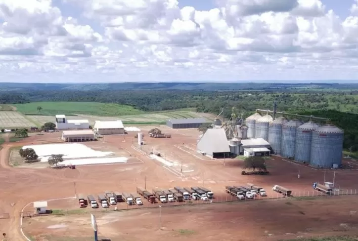 Frísia prevê aumento da área agrícola e do número de cooperados no Tocantins