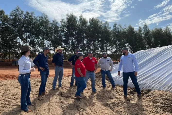 Ecosyl e Ecocool, os inoculantes mais testados do mundo, comprovam resultados em rebanhos brasileiros