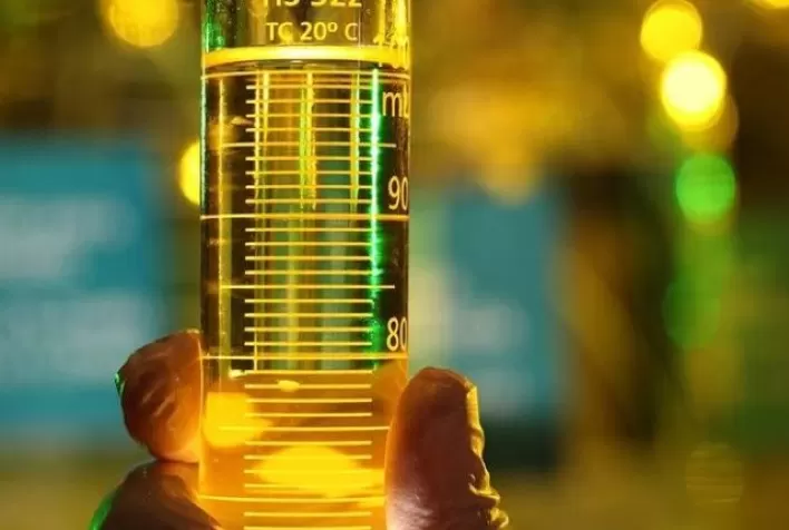 Petrobras e Bunge celebram contrato para fornecimento de matéria-prima usada na produção de Diesel R5