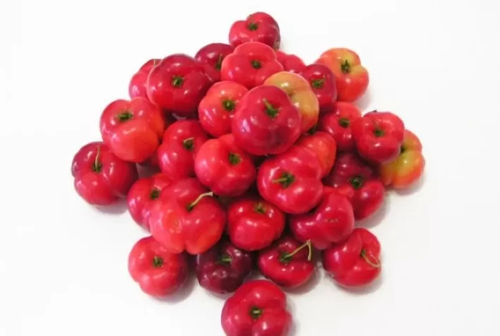 Projeto quer transformar o Piauí em grande exportador de frutas