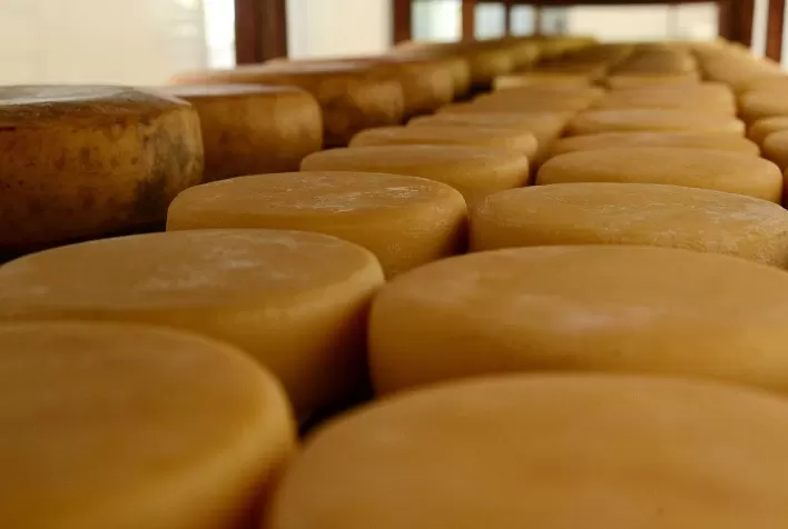 Queijo meia cura une tradição e segredo familiar