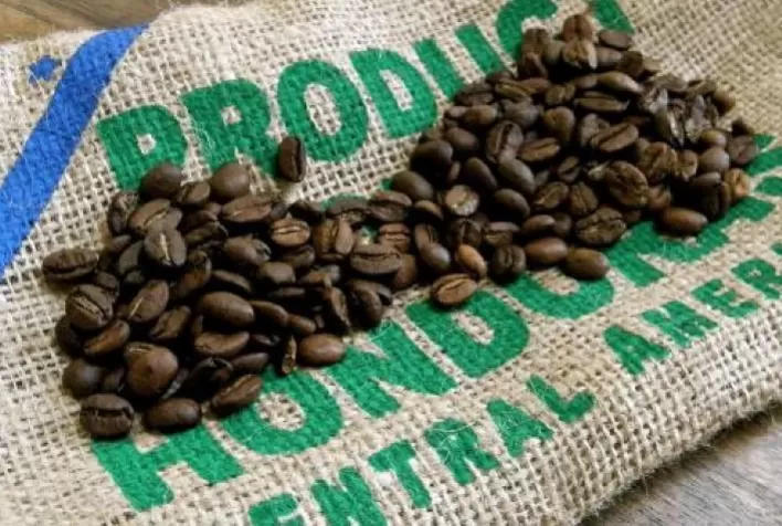 Honduras registra queda de 38% nas exportações de café em julho de 2022