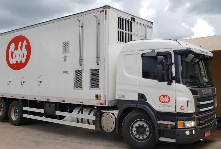 Cobb-Vantress discute armazenamento e transporte de ovos férteis para melhor resultado dia 10, no Siavs