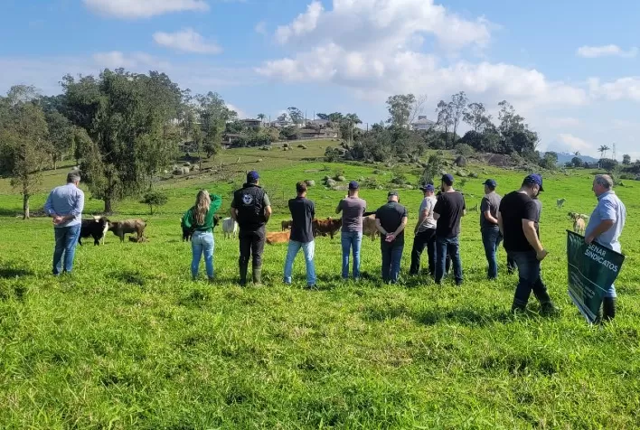 Oficina técnica do Senar/SC aborda manejo de pastagens e de vacas primíparas em Tubarão