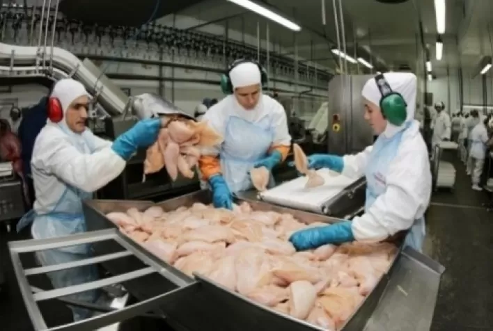 Em 2022, carne de frango sobe uma posição na pauta cambial