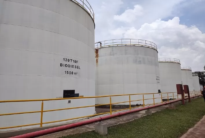 Congresso Nacional será decisivo para Brasil retomar expansão dos biocombustíveis