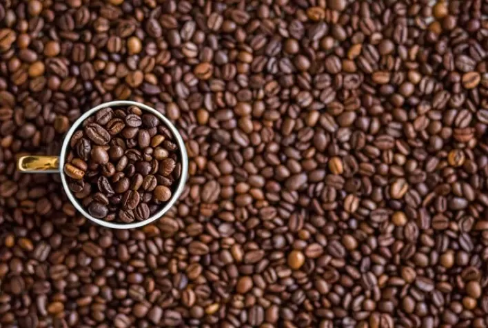 Café abre semana devolvendo ganhos, mas ainda mantém foco nos estoques e na safra brasileira