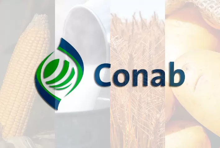Conab realiza reuniões para atualizar custos de produção no Paraná e no Ceará