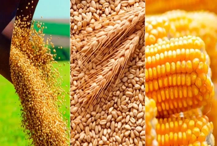 O que esperar dos preços das commodities alimentícias nos próximos meses?