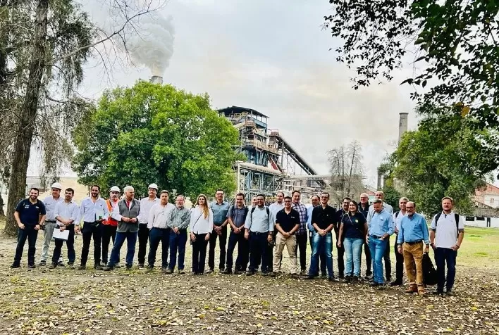 Na Argentina, Brazil Sugarcane atraiu mais investimentos às empresas brasileiras