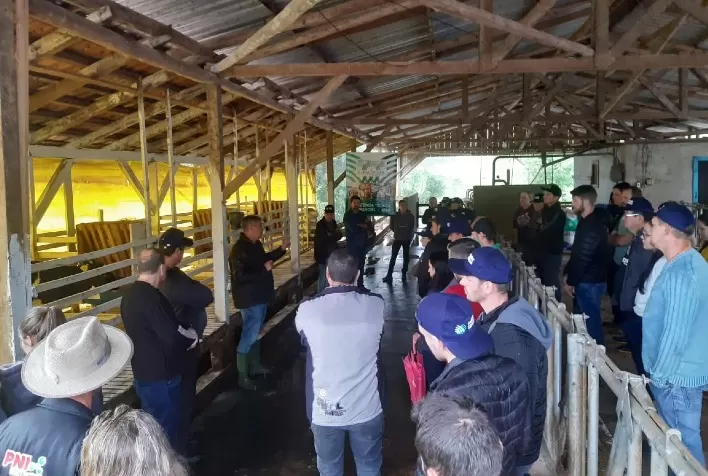 Dia de Campo com produtores da pecuária de leite de Ipumirim foi um sucesso
