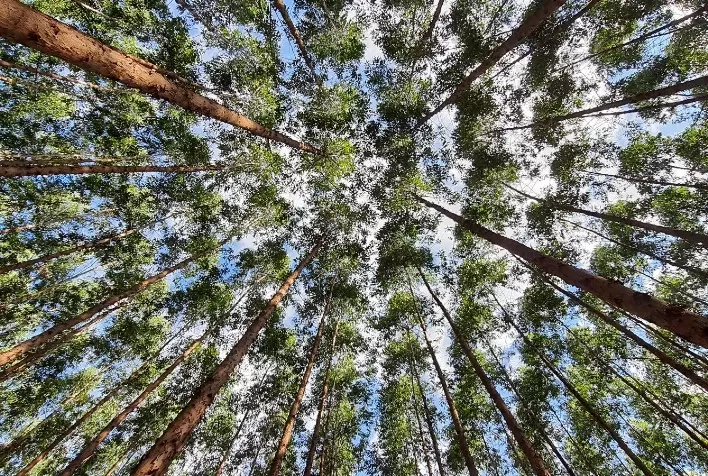 TTG vê em Minas Gerais terreno fértil para bons negócios