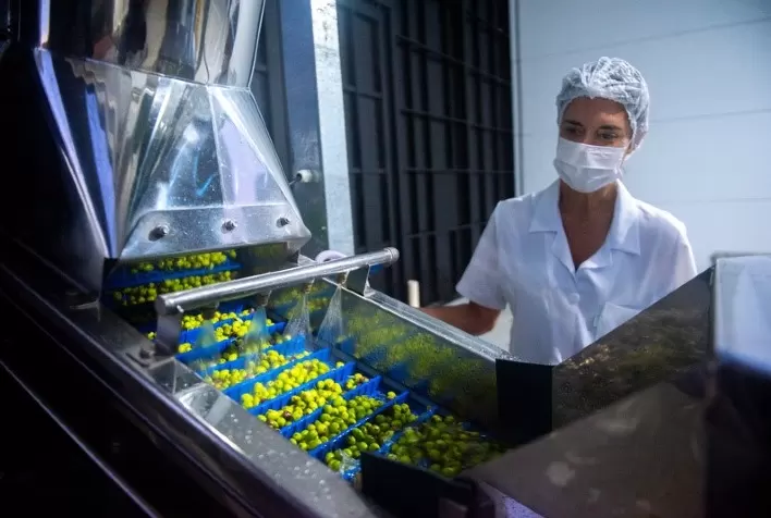 Fazenda Serra dos Tapes inicia venda de azeites medalha de ouro “Potenza” no varejo físico