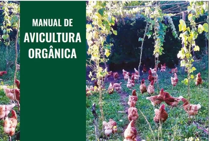 Manual traz orientações sobre avicultura orgânica