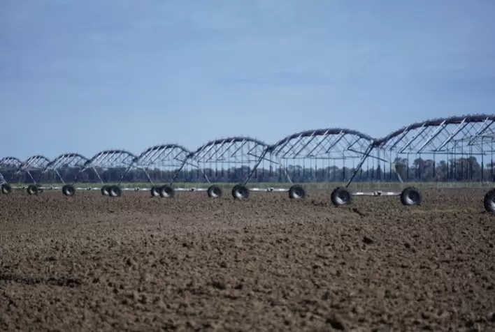 Cultivo Irrigado: método promete 3 vezes mais produtividade em áreas rurais