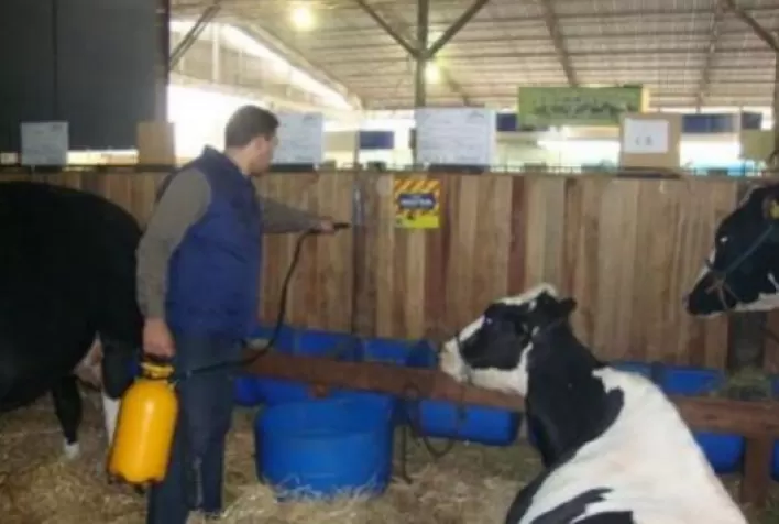 Elanco Saúde Animal faz controle de moscas domésticas durante a 45ª Edição da Expointer
