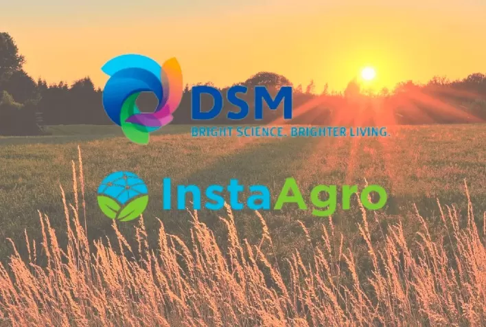DSM fecha parceria com e-Commerce InstaAgro e reforça sua presença em plataformas digitais