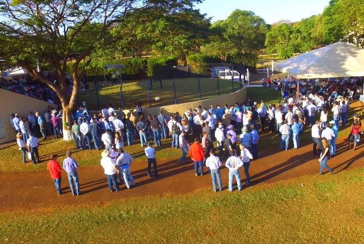 Expogenética 2022: tradicional Desfile de Touros da ABS revela tendências do melhoramento genético em raças zebuínas de corte