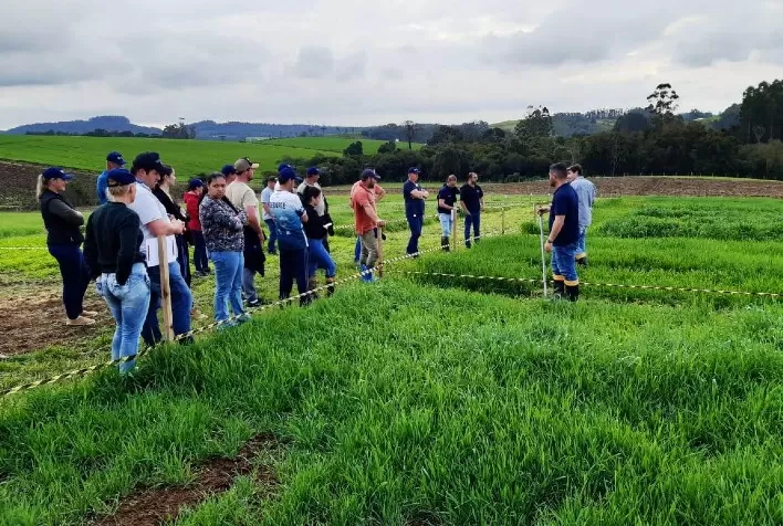 Dia de Campo no Vale do Itajaí demonstra estratégias para aumentar a produtividade na pecuária de leite