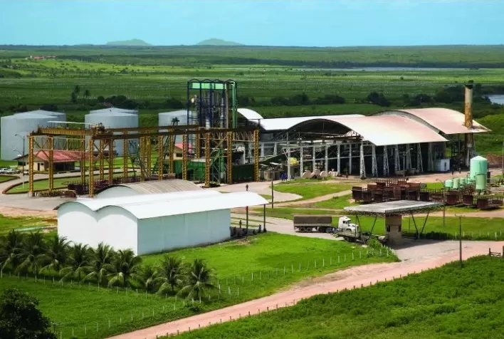 Ceará Mirim Agroindustrial investe em recuperação de canaviais aliada à tecnologia e sustentabilidade
