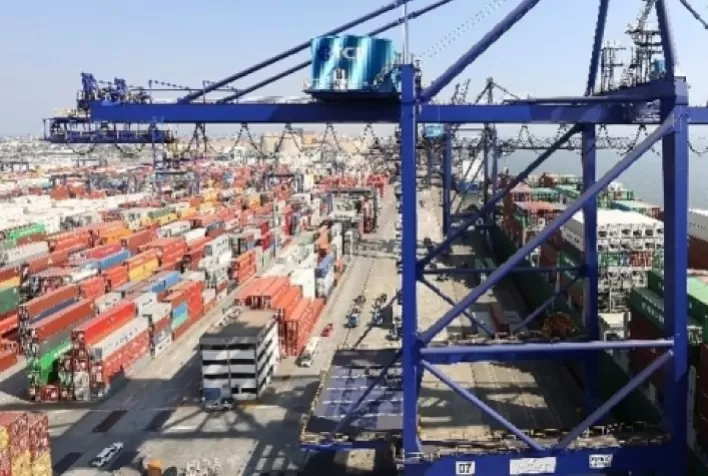 Falta de auditores agropecuários afeta exportação de soja no Porto de Paranaguá (PR) – ANFFA