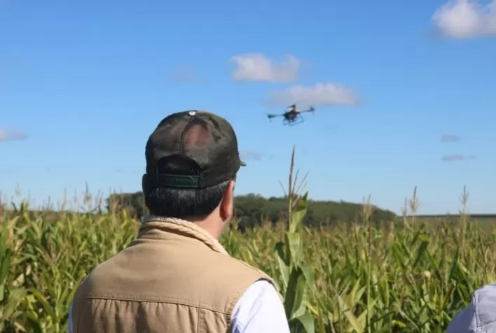 Agricultura de Precisão: Uso de drone otimiza custos na produção de mandioca