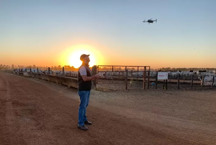 Inteligência artificial já contribui para uma produção animal mais eficiente e sustentável