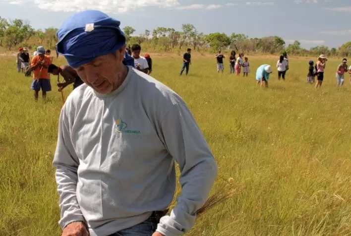 TO: fiscalização nos campos do capim-dourado é intensificada no Jalapão
