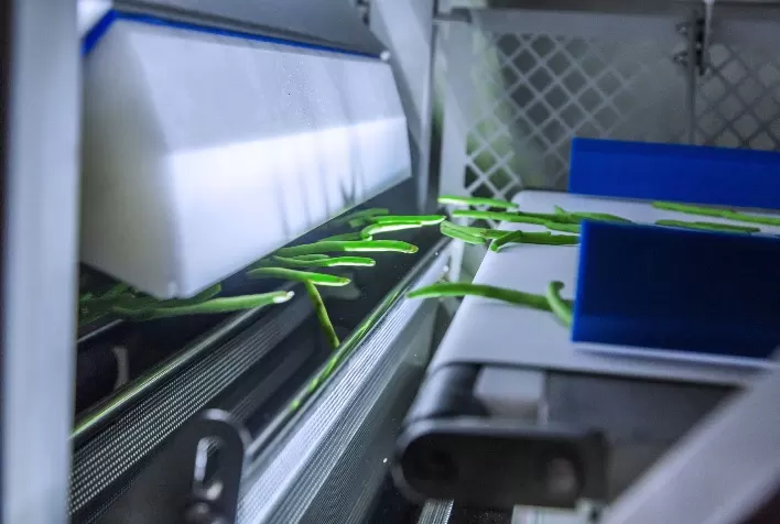 De Marchi automatiza linha de produção ao adquirir máquina de classificação Tomra 5B da Tomra Food
