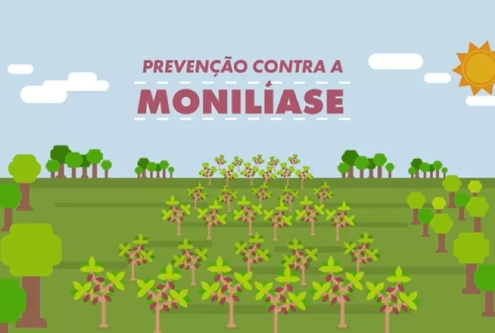 Segundo vídeo sobre combate à monilíase é lançado