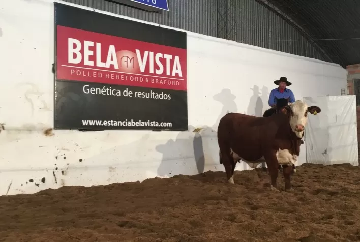 Temporada de Primavera deve ao menos manter médias do ano passado