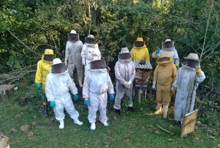 Apicultores do oeste aperfeiçoam e ampliam a produção de mel