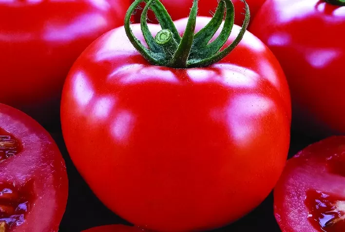 Preço do tomate foi o que mais subiu em setembro