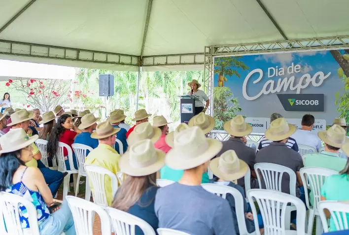 Colatina contará com Dia de Campo Sicoob para Pecuaristas