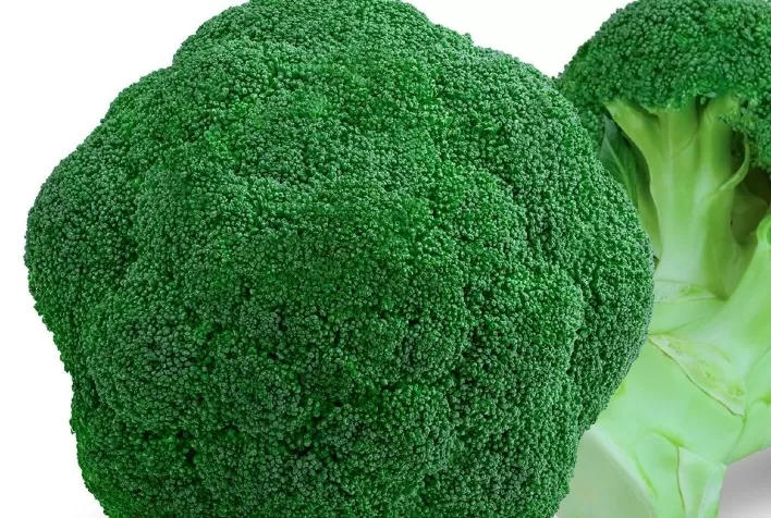 Consumo de brócolis avança no País e produtor tem opção de variedade que pode ser plantada o ano inteiro
