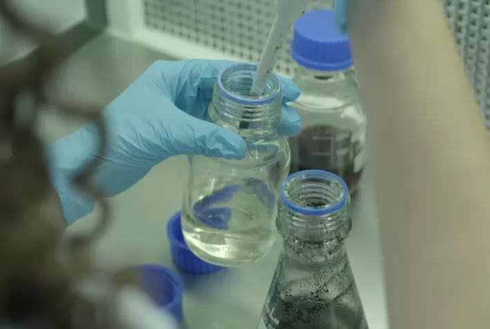 Produtor ganha novas ferramentas para o controle biológico de cigarrinha do milho, nematoides e fungos de solo