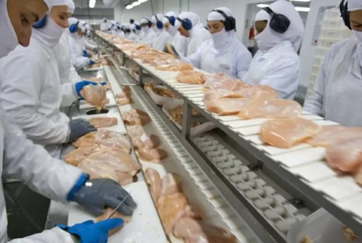Carne de frango: volume exportado em agosto correspondeu a novo e absoluto recorde do setor