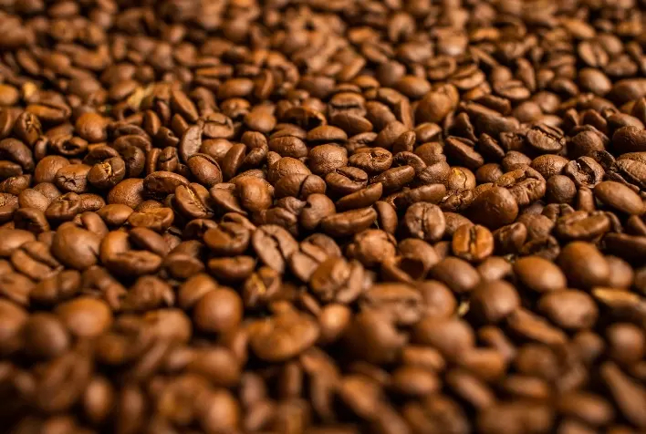 Franca (SP) recebe o III Simpósio Brasileiro de Manejo Biológico da Cultura do Café